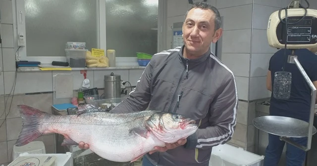 9 kilogramlık levrek fiyatı ile dudak uçuklattı