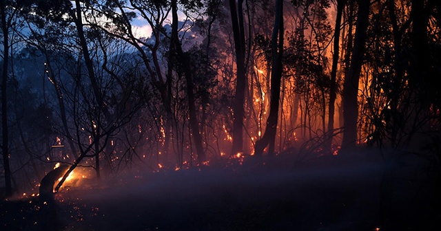 Avustralya’da korkutan orman yangınları