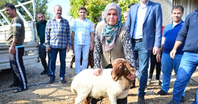 Bakan Pakdemirli, hırsızlık mağduru besici çifti yalnız bırakmadı