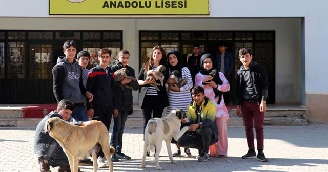 Beslediği köpeklerle öğrencilere hayvan sevgisi aşılıyor