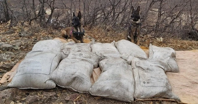 Bingöl’de 450 kilo amonyum nitrat ele geçirildi