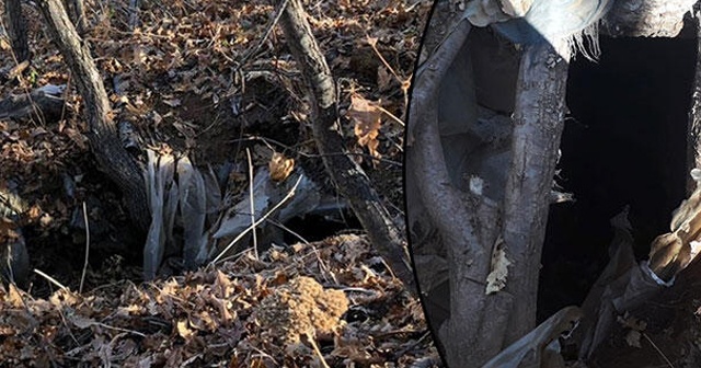 Bingöl&#039;de PKK&#039;ya operasyon! Bomba tuzaklanan sığınak imha edildi