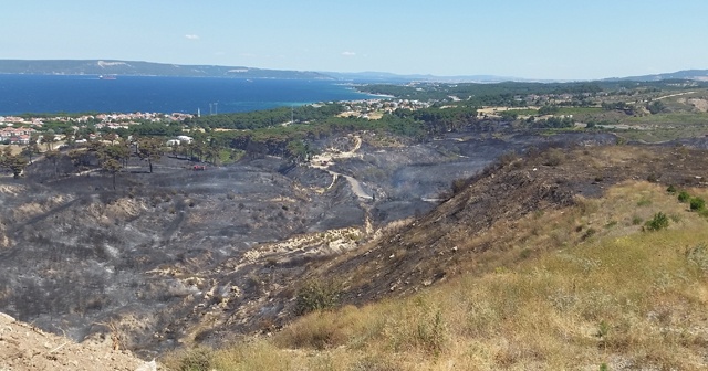 Çanakkale’de 2019 yılında 52 orman yangını çıktı