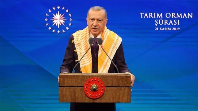 Cumhurbaşkanı Erdoğan&#039;dan önemli açıklamalar