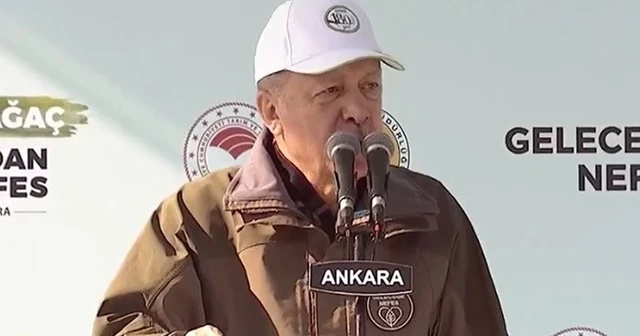 Cumhurbaşkanı Erdoğan: Orman varlığımızı 17 yılda 22,6 milyon hektara çıkardık