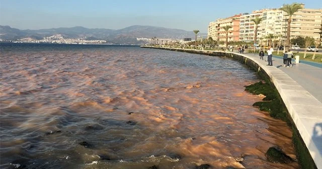 Denizin rengi değişti, vatandaşlarda şaşırdı