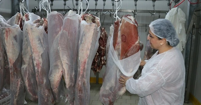 İstanbul'da et ürünleri üretim tesisleri denetlendi