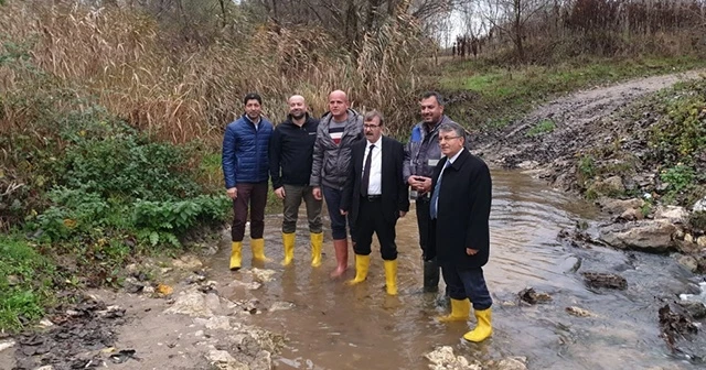 Kahverengi akan derede inceleme başlatıldı