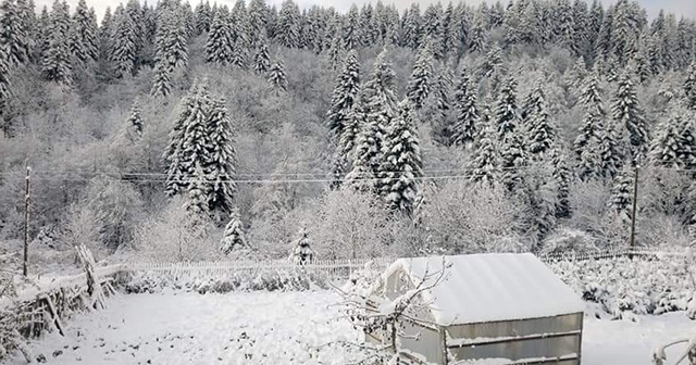 Karadeniz&#039;e kar yağdı!