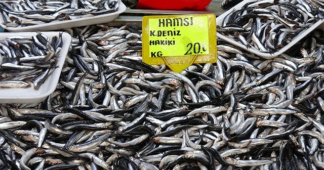 Karadeniz hamsisinin kilogram fiyatında düşüş sürüyor