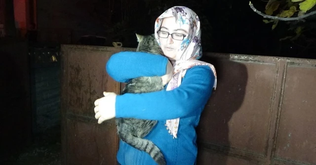 Korkuya kapılan kediye mahalleli sahip çıktı