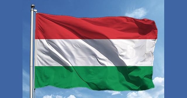 Macaristan&#039;dan Türkiye açıklaması!