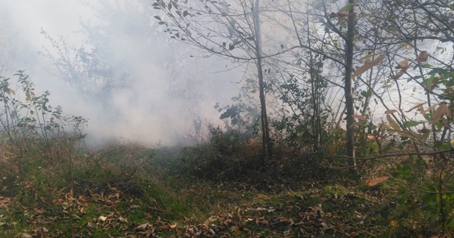 Ordu’da orman yangını kontrol altına alındı