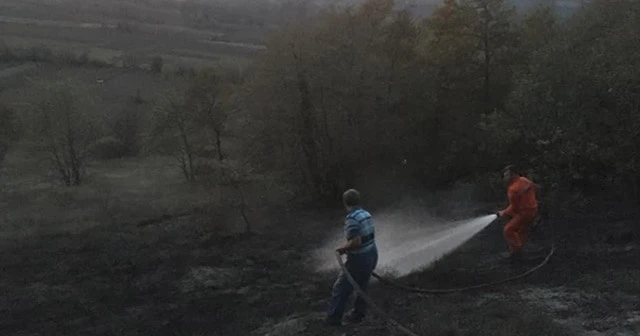 Ormanlık alanda çıkan yangın söndürüldü