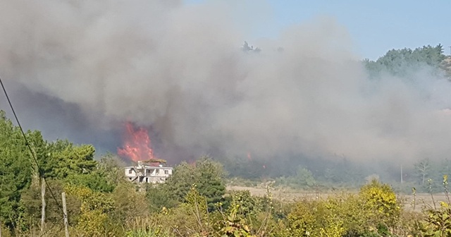 Osmaniye’de orman yangını