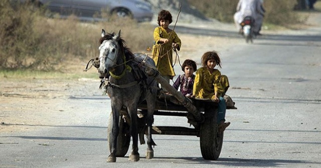 Pakistan&#039;da 10 ayda 703 çocuk öldü