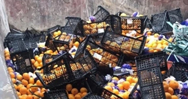 Rusya'ya gönderilen mandalinalar yanlış etiket kurbanı oldu
