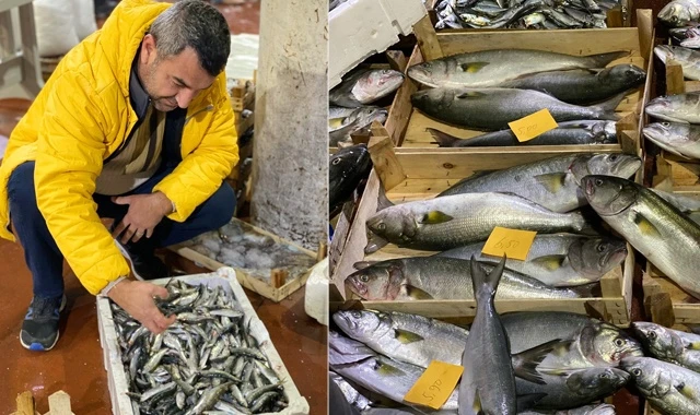 Son yılların en kötü balık sezonu yaşanıyor