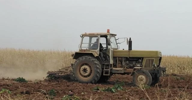 Tel Abyad’da buğday hasadı başladı