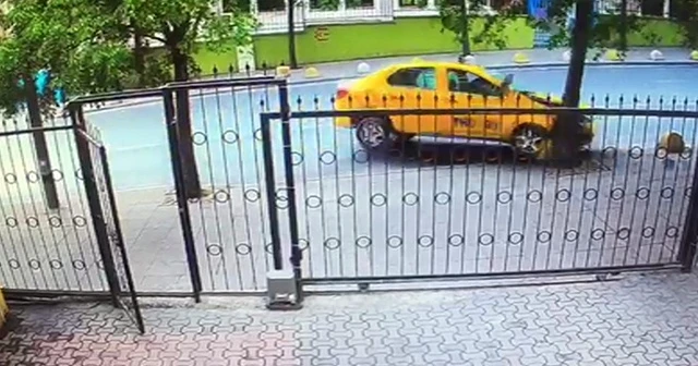Ticari taksi ağaca çarptı