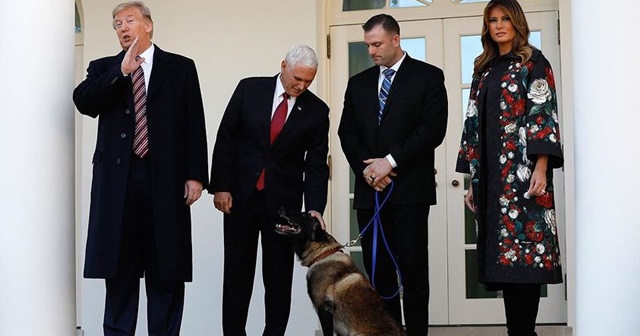 Trump&#039;tan Bağdadi operasyonunda görevli köpeğe plaket ve madalya
