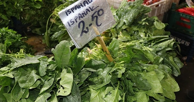 Zehirlenme vakaları ıspanak satışlarını düşürdü