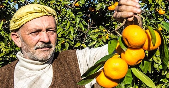 50 yıl önce hobi diye başlamıştı... Şimdi dev bir sektör oldu