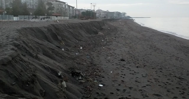 Akçakoca sahilinde şaşırtan görüntü