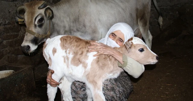 Cemile teyzenin mutluluk fotoğrafı