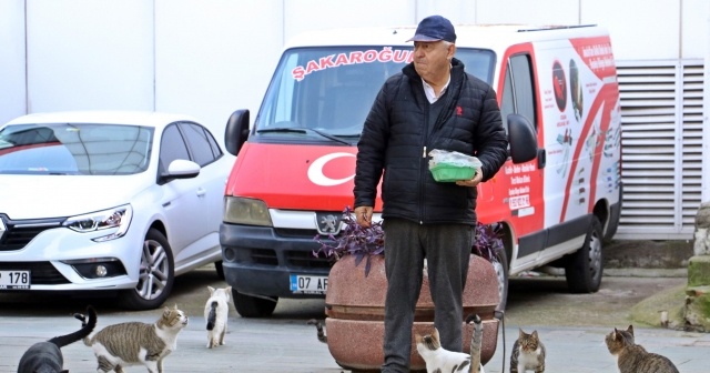 Emekli maaşının yarısını sokak hayvanlarına harcıyor