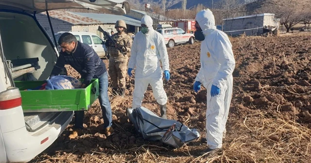Foseptik çukurunda insan kemikleri bulundu