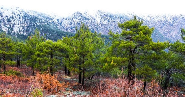 Hatay&#039;da Amanos Dağları etekleri beyaza büründü