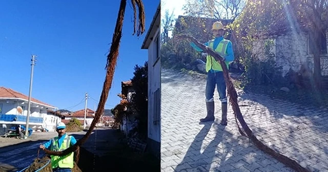 İçme suyu borusundan çıktı! Vatandaşlar şaşkına döndü