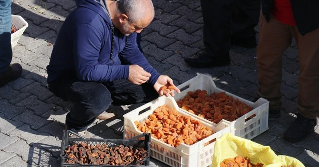 Kayısı ihracatında gelir düştü