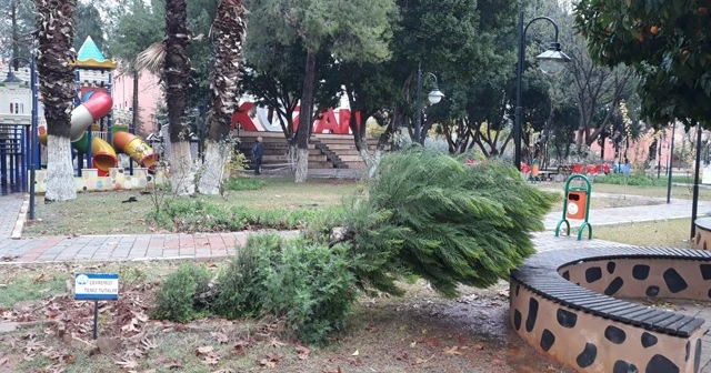 Kozan'da şiddetli yağmur ve fırtına ağaçları devirdi