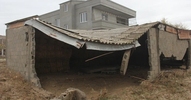 Sel ahırları yuttu, horozlar telef oldu