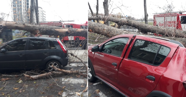 Şişli’de çınar ağacı 4 aracın üzerine devrildi