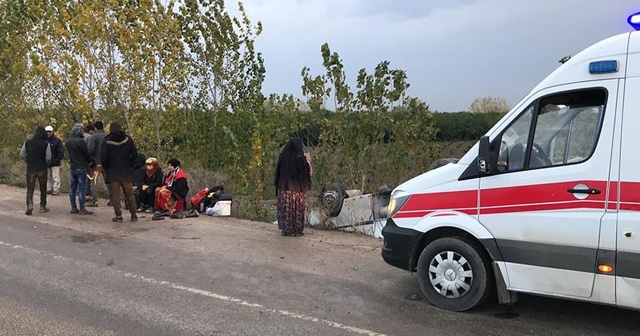 Tarım işçilerini taşıyan midibüs devrildi: 11 yaralı