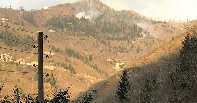 Trabzon'da örtü yangınları sürüyor