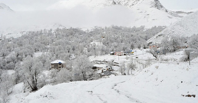 Tunceli’de kar 71 köy yolunu ulaşıma kapattı