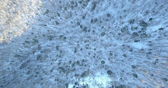 Uludağ'da kayıp olan iki dağcı drone ile arandı