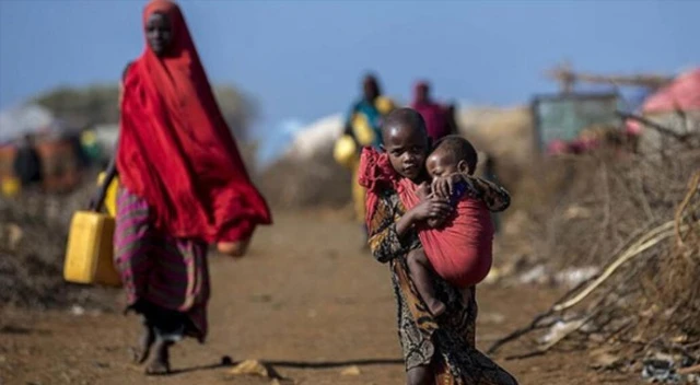 Zimbabve'de nüfusun yarısından fazlası açlıkla karşı karşıya