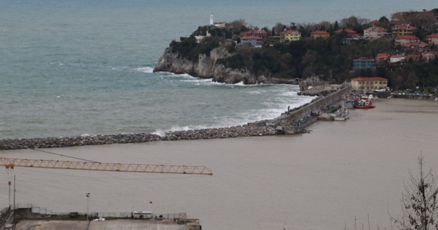 Zonguldak Limanı sarıya boyandı