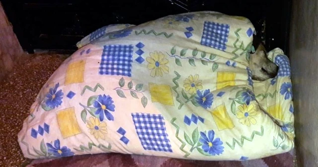 Can dostuna her akşam döşek seriyor
