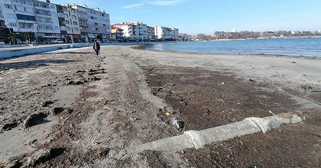 Deniz 30 metre çekildi! İlk kez görenler paniğe kapıldı