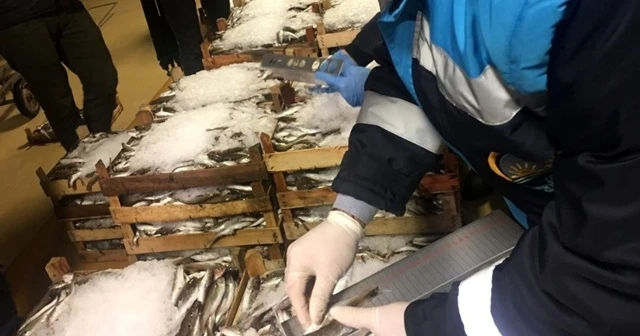 Gece yarısı denetimle 53 ton balığa el konuldu