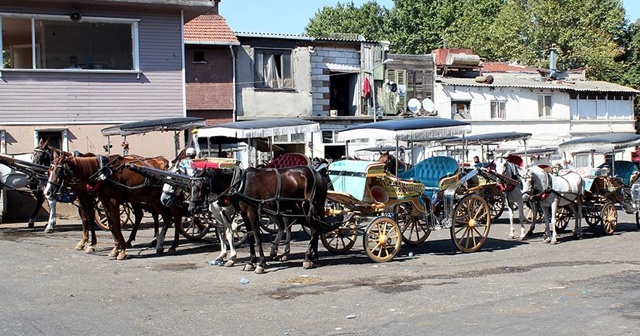 İBB, Adalar&#039;daki faytonların plakalarını ve atları satın alacak