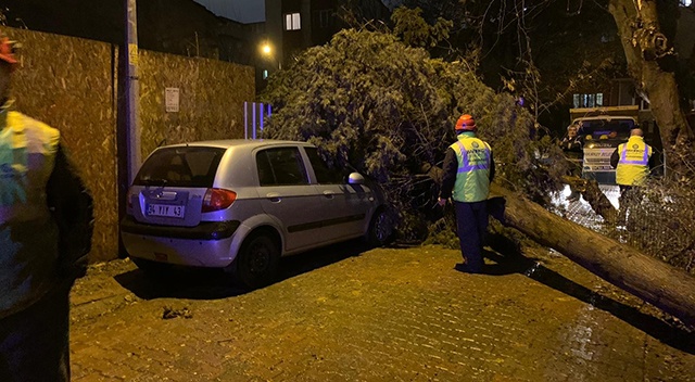 İstanbul&#039;da fırtına çatıları uçurdu, ağaçları devirdi