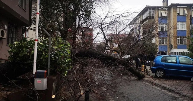 İstanbul’da şiddetli fırtınanın bilançosu belli oldu