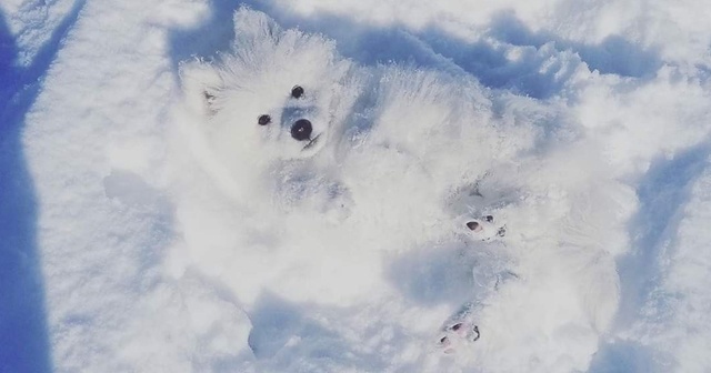 Kar sevincinin en güzeli fotoğrafı